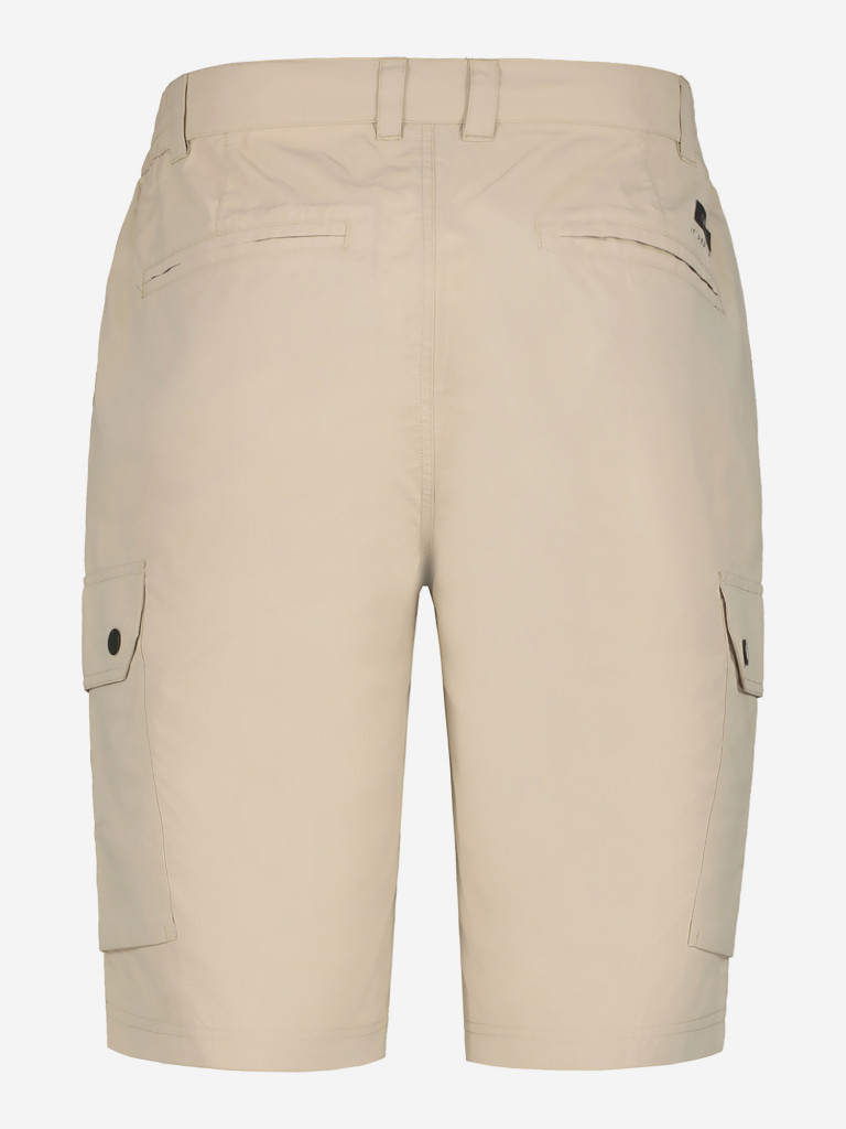 Шорты мужские IcePeak Anzio — фото №2