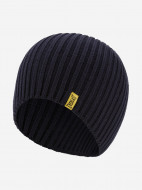 Everlast Wagner light шапкасы