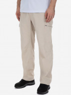 Брюки мужские Columbia Silver Ridge