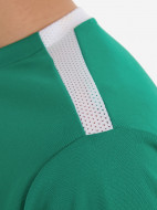 Футболка для мальчиков PUMA Teamliga Jersey Jr — фото №5