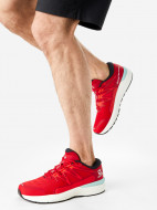 Кроссовки мужские Salomon Sonic 4 Confidence