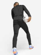 Костюм мужской PUMA Team Liga — фото №2