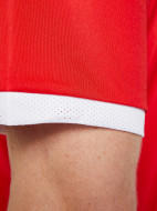 Футболка мужская PUMA Team Liga — фото №6