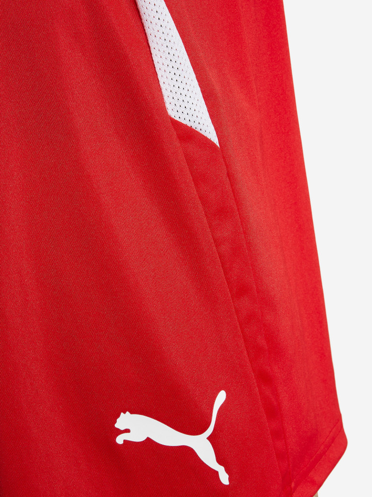 Шорты мужские PUMA teamLIGA — фото №4