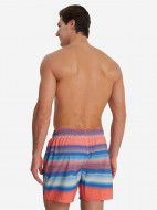 Шорты плавательные мужские Speedo Placement — фото №2