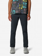 Брюки мужские Mountain Hardwear Ap Active Pant