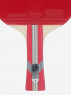 Набор для настольного тенниса Torneo Hobby Plus: 2 ракетки, 3 мяча, сетка — фото №6