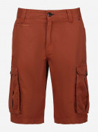 Шорты мужские Regatta Shorebay — фото №7