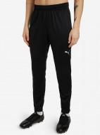 Брюки мужские PUMA teamFINAL Training Pants