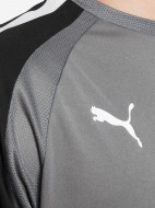 Футболка вратарская мужская PUMA teamPACER — фото №4