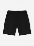 Шорты мужские IcePeak Anzio