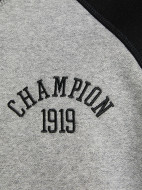 Толстовка мужская Champion — фото №4