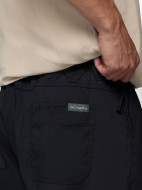 Брюки мужские Columbia Landroamer Scout Pant — фото №9