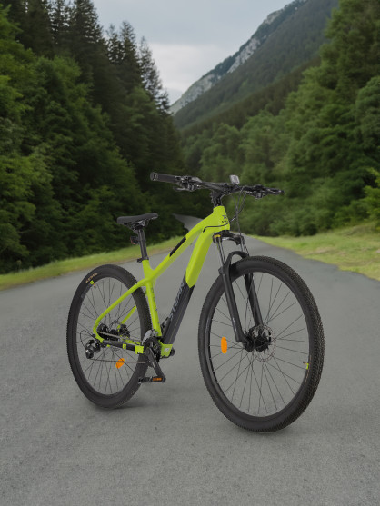 Stern Motion 2.0 alt 29" тау велосипеді