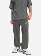 adidas ерлер шалбары