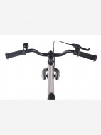 Maxiscoo Jazz Base балалар велосипеді, 16" — фото №8