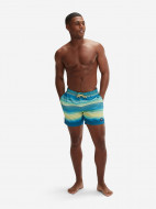 Speedo Placement ерлер жүзу шорты