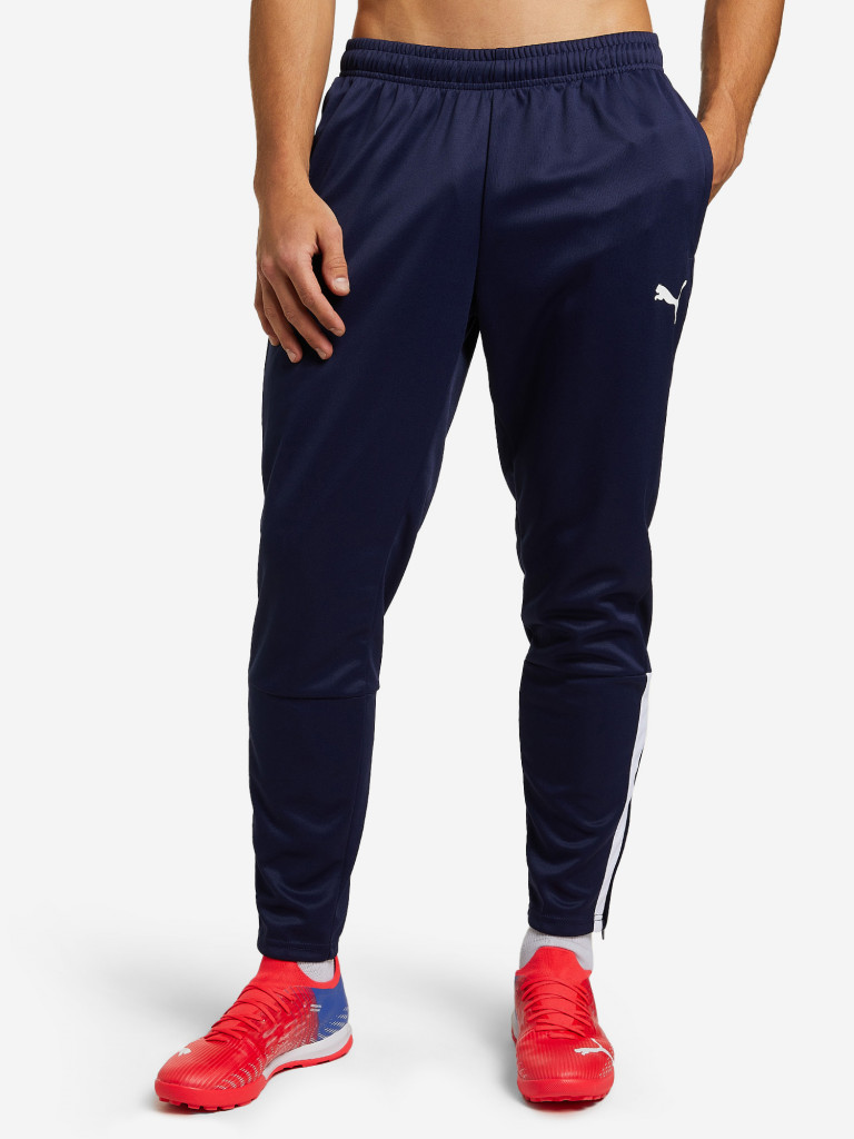 Брюки мужские PUMA Teamliga
