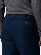 Брюки горнолыжные мужские Columbia Bugaboo VI Pant — фото №6