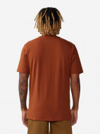 Футболка мужская Mountain Hardwear Grizzly Bear Short Sleeve — фото №2