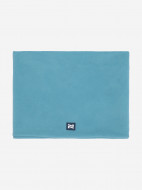 Гейтор Nordski