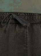 Protest ерлер шорты — фото №6