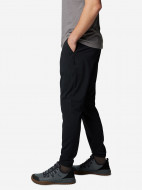Брюки мужские Columbia Sage Peak Tapered Chino Pant — фото №3