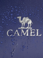 Пуховик мужской Camel — фото №5