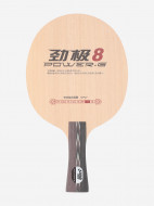 DHS Power.G 8 OFF үстел теннисінің негіздері