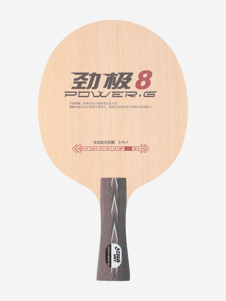 DHS Power.G 8 OFF үстел теннисінің негіздері