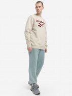 Свитшот мужской Reebok — фото №3