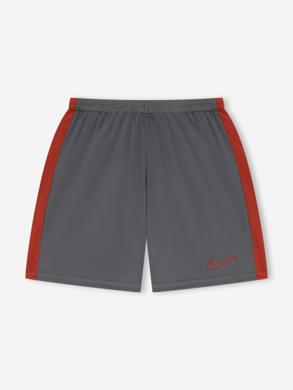 Nike Dri-FIT Academy шорты