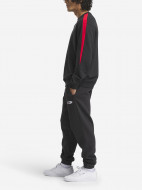 Брюки флисовые мужские Reebok Ri Brand Proud — фото №3