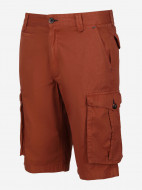 Шорты мужские Regatta Shorebay — фото №8