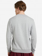 Свитшот мужской adidas Must Haves Badge of Sport — фото №2