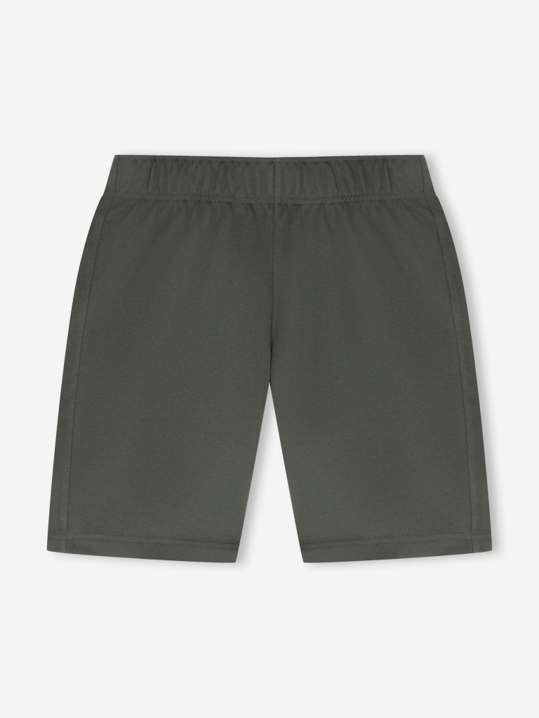 GSD ерлер шорты