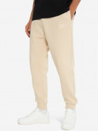 Брюки мужские Champion