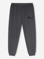 PUMA Sport Street ерлер шалбары — фото №10