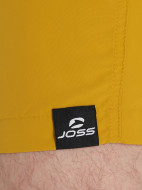 Шорты плавательные мужские Joss — фото №5