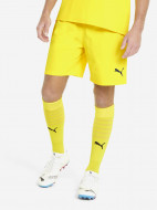 Шорты мужские PUMA Teamfinal