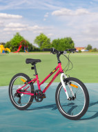 Велосипед для девочек Denton Shine 1.0 20", собран на 98%