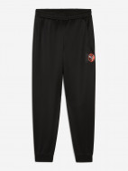 Брюки для мальчиков PUMA Active Sports Graphic