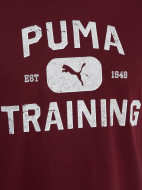 Футболка мужская PUMA Graphics Train Logo Relaxed — фото №7