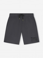 Champion ерлер шорты — фото №11