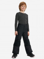 Брюки утепленные для мальчиков Columbia Bugaboo III Pant — фото №5
