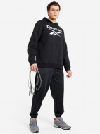 Reebok Big Stacked Logo ерлер худиі — фото №3