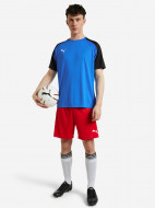 Шорты мужские PUMA teamLIGA — фото №3