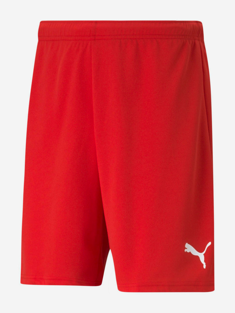 Шорты мужские PUMA Teamrise