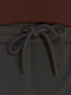 Cordillero ерлер шорты — фото №8