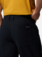 Брюки мужские Columbia Pitchstone Chino Pant — фото №7
